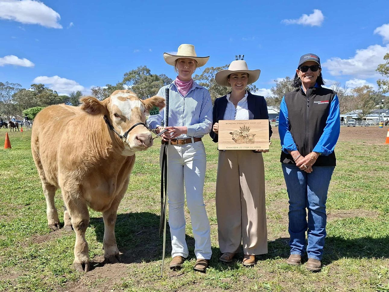 Mach-Energy-Community-Sponsorship-05 Cultural Spectacular event May 21st 2022